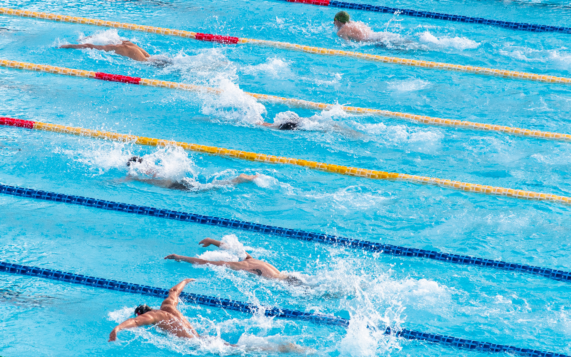 competitive swimmers during an event