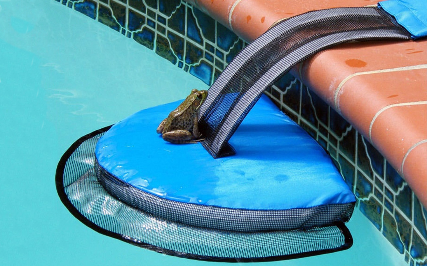 floating escape ramp for small animals