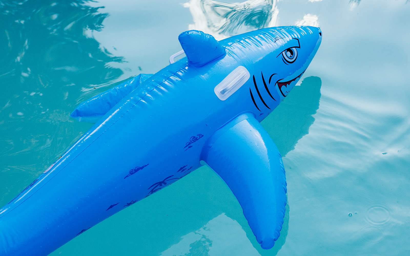 grinning blue shark pool float