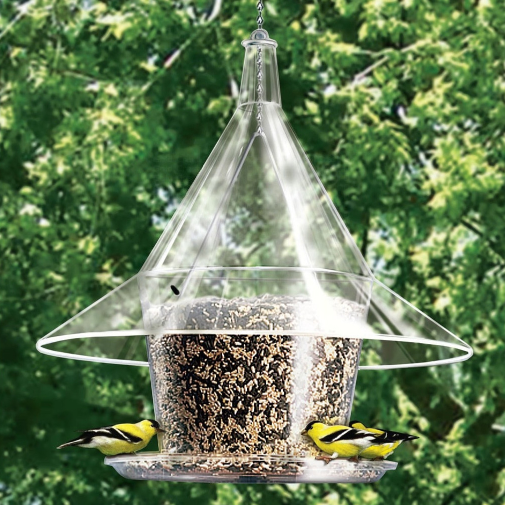 sky cafe round bird feeder with squirrel baffle hood